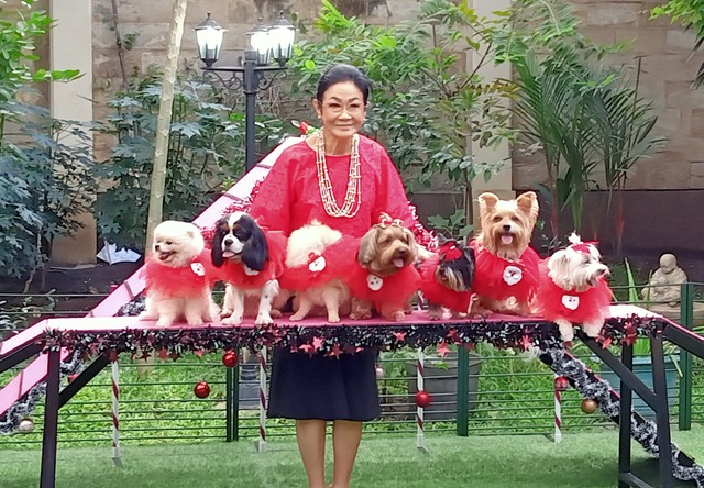 Theresia bersama anjing-anjing kesayangannya yang memakai kostum khusus Natal. Foto-foto: Masruroh/Basra