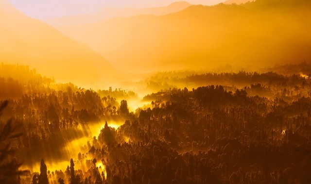 Matahari Terbernam di Atas Hamparan Hutan Rimba (sumber : pixabay.com)
