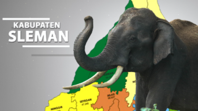 Ilustrasi gajah sebagai asal usul nama Kabupaten Sleman. Ilustrasi oleh: ESP