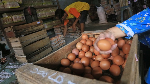 Pedagang menyortir telur ayam ras untuk pembeli. Foto: ANTARA FOTO/Dedhez Anggara