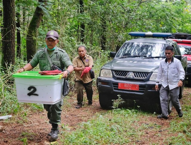 Melihat Pelepasliaran Kukang Jawa di Gunung Ciremai, Satwa yang Terancam Punah (125370)