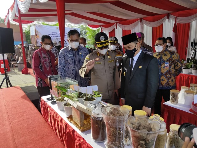 Wakil Gubernur Kalimantan Barat saat melihat berbagai komoditas pertanian yang diekspor ke berbagai negara, didapmpingi kepala karantina Entikong dan Pontianak