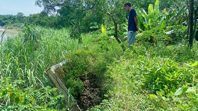 TPT Sungai Cimanuk yang berada di Desa Jatitujuh nyaris roboh. Foto: Erick Disy/CIREMAITODAY