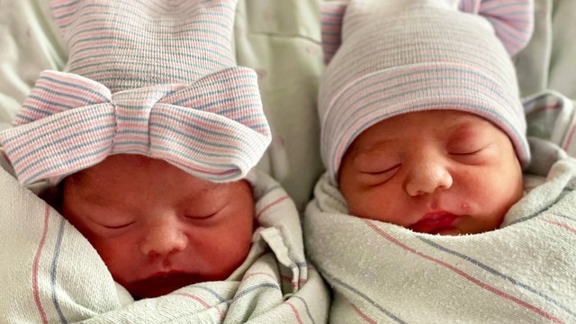Ilustrasi bayi kembar. Foto: Facebook/Natividad Medical Center