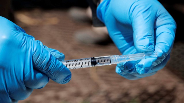 Orang Utan di Kebun Binatang Chile Disuntik Vaksin Virus Corona (6382)