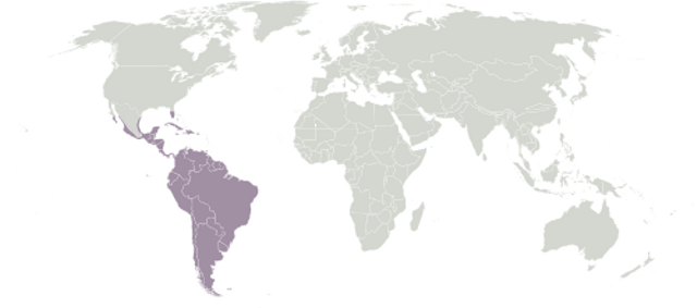 Wilayah vertebrata adalah daerah yang meliputi bagian Amerika Selatan hingga kepulauan yang terletak di bagian Hindia Barat. Wilayah ini dikenali sebagai wilayah Neotropik. Foto: Wikipedia.com