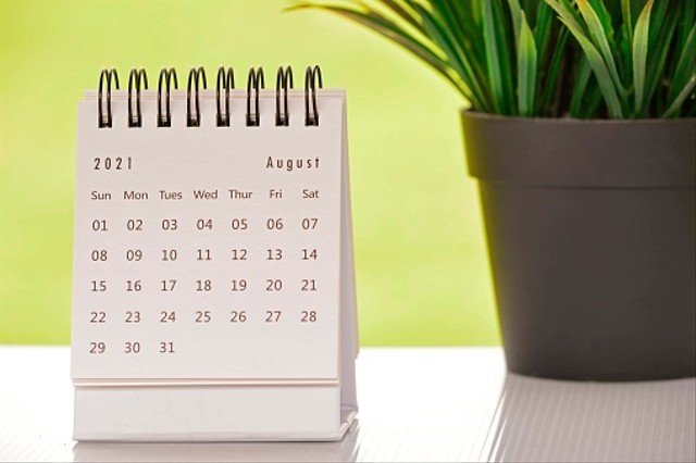 Ilustrasi kalender bulan Agustus. Foto. dok. Jennifer Miranda di Unsplash