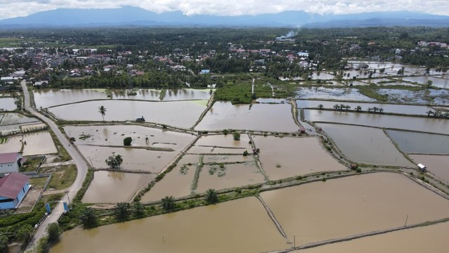 Kawasan tambak di Blang Mangat, Lhokseumawe yang rusak akibat banjir Aceh. Foto: Dok. Laung
