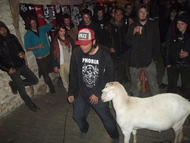 Biquette, kambing yang kerap nonton konser punk. Foto: istimewa.