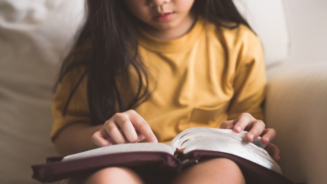 Ilustrasi membaca buku. Foto: Shutter Stock