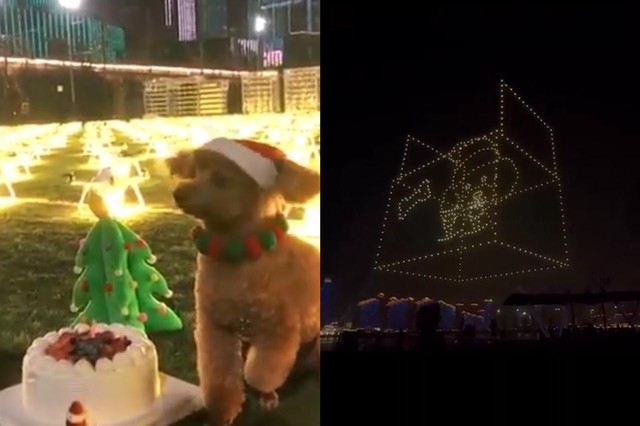 Seorang wanita menyewa 520 drone untuk rayakan ulang tahun anjing peliharaannya (Sumber: Youtube Sixth Tone)