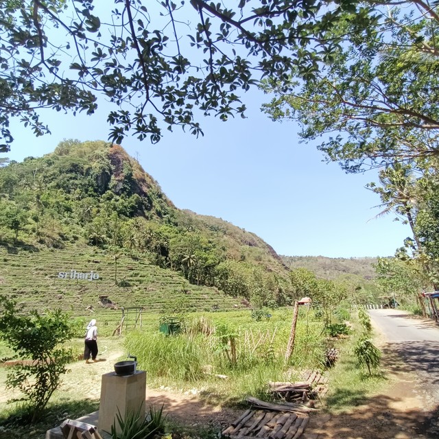 Salah satu sudut perbukitan Sriharjo. Foto: ESP
