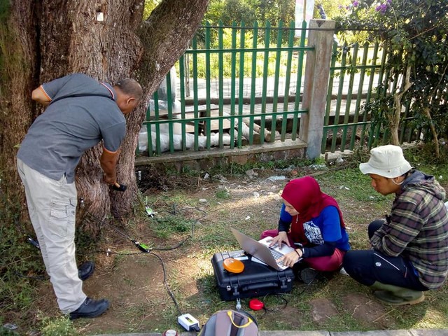 Foto: Tim Monitoring Kesehatan Pohon Kebun Raya Cibodas-BRIN