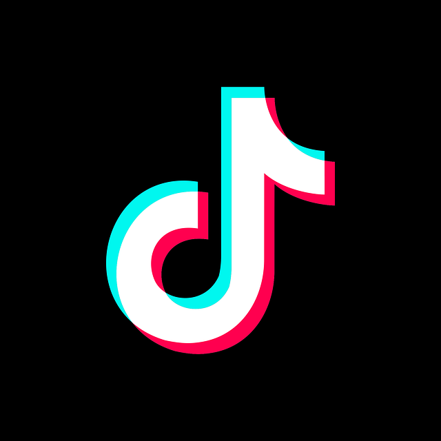 Ilustrasi kumpulan lagu TikTok viral 2022 untuk backsound video, sumber gambar oleh Muhammad Salman dari Pixabay