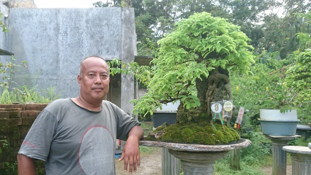 Gunardi di sebelah bonsai rawatannya. Foto: Widi Erha Pradana