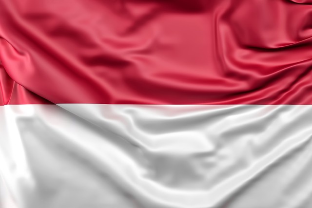 Peluang Bahasa Indonesia Menjadi Bahasa Internasional (328122)