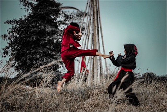 Ilustrasi bela diri pencak silat. Foto: Flickr