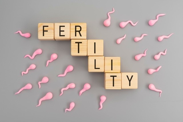Fertility atau pembuahan adalah salah satu proses yang terjadi sebelum kehamilan terjadi. Foto: Feeepik.com