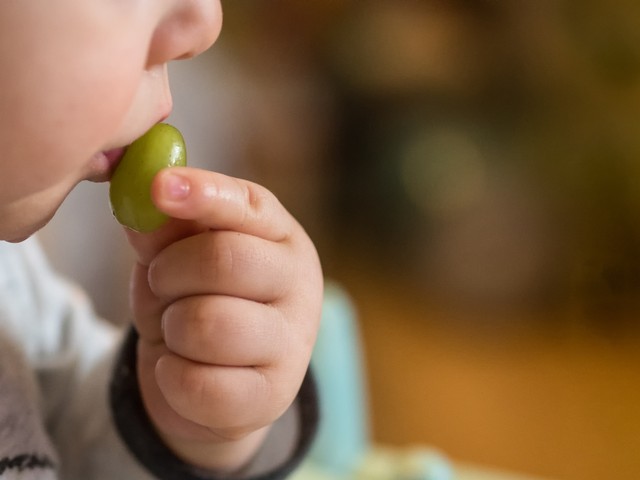 Ilustrasi bayi makan anggur. Foto: Shutter Stock