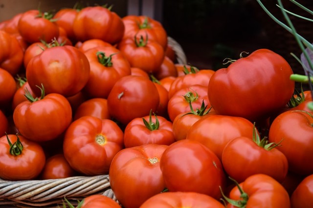 Resep MPASI 12 Bulan: Sup Tomat Telur Sayuran (73155)