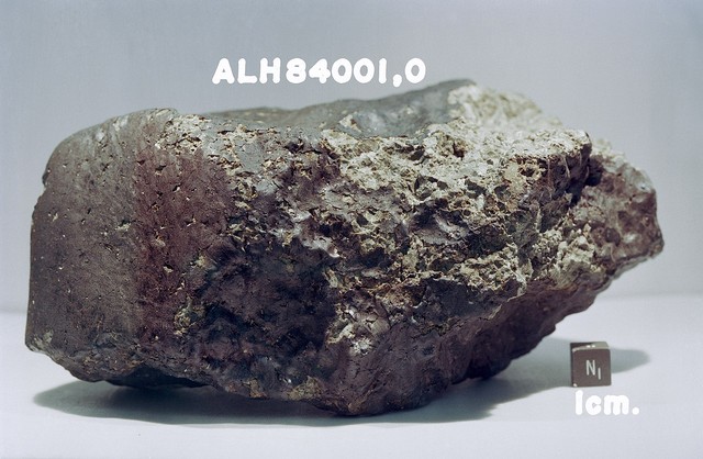 Allan Hills (ALH) 84001, meteorit dari Mars yang menabrak Bumi pada 4 miliar tahun silam. Foto: NASA