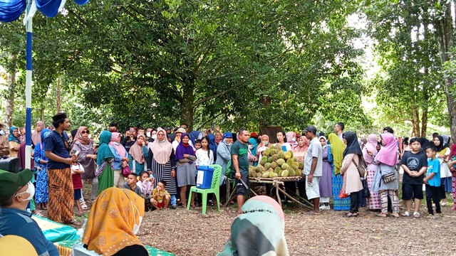 Wali Kota Ternate Jadikan Kelurahan Kulaba sebagai Kampung Durian (76378)