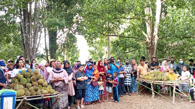 Wali Kota Ternate Jadikan Kelurahan Kulaba sebagai Kampung Durian (76379)
