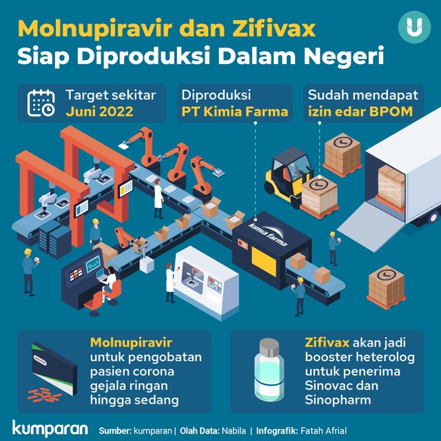 Infografik: Obat Molnupiravir dan Vaksin Zifivax Siap Diproduksi di Dalam Negeri (406373)