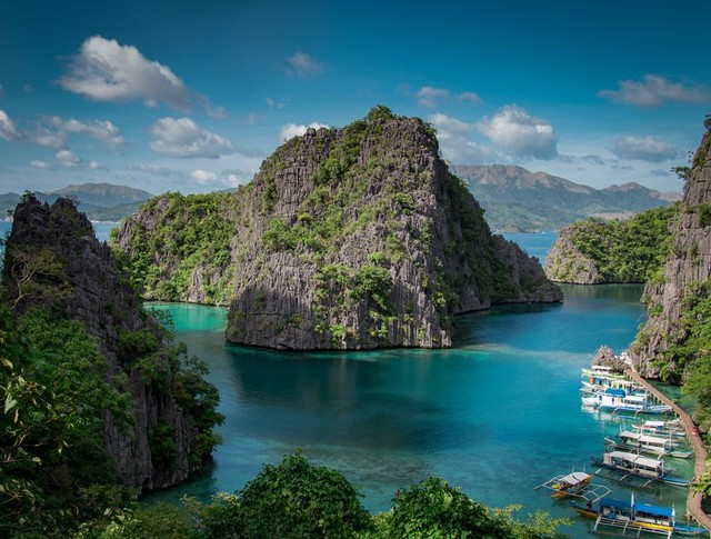 Kepulauan Wallacea adalah suatu wilayah di Indonesia bagian tengah yang memiliki aneka ragam flora dan fauna. Foto: Pexels.com