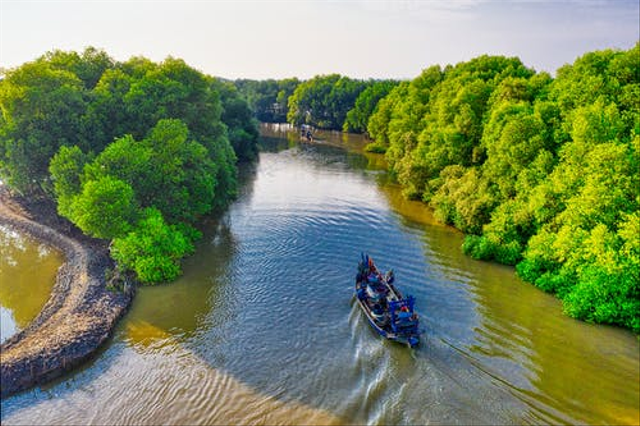 Hutan mangrove adalah jenis hutan yang terletak di wilayah perairan payau atau pesisir pantai. Foto: Pexels.com