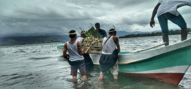 Upacara adat Tokan Lota Pito di Lembata. Foto: Teddi Lagamaking