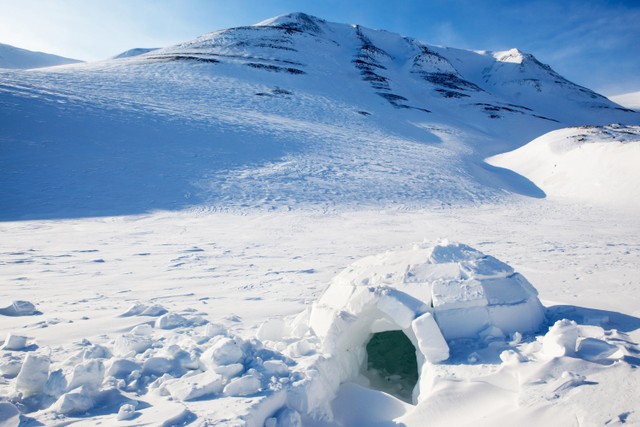 Rumah igloo salju asli di pegunungan. Foto: Tyler Olson/Shutterstock