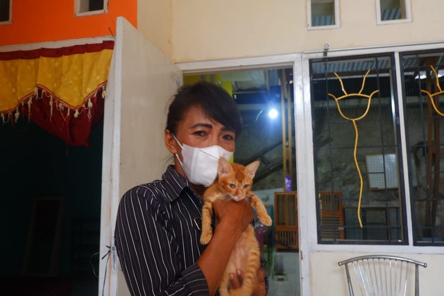 Komunitas Keluarga Kucing Lampung Butuh Bantuan untuk Hidup Para Kucing Telantar (2)