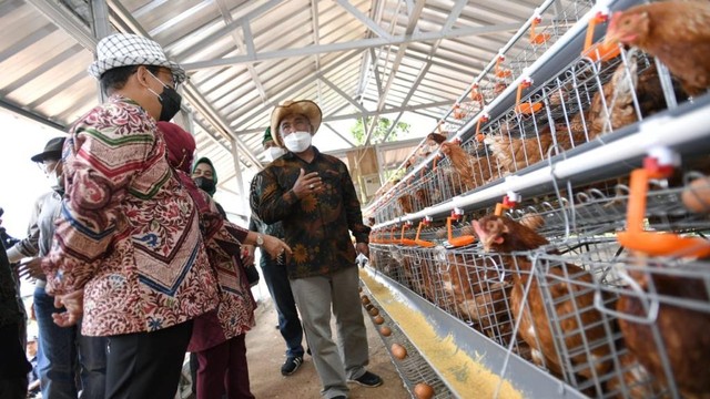 Mendes PDTT Abdul Halim Iskandar mengunjungi BUMdes Waluya Balarea di Desa Nagrak, Kecamatan Pacet, Kabupaten Bandung, Jawa Barat, Sabtu (22/1/2022).  Foto: Mugi/Kemendes PDTT