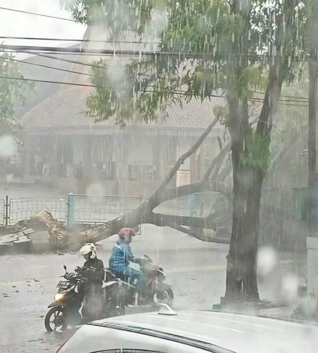 Hujan Dan Angin Kencang Melanda Ciamis Pohon Tumbang Timpa Mobil Hingga Rumah Kumparan Com