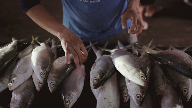 Pedagang menunjukkan ikan bandeng di Pasar Petak Sembilan, Jl. Kemenangan Raya, Glodok, Jakarta Barat, Rabu (26/1/2022). Foto: Jamal Ramadhan/kumparan