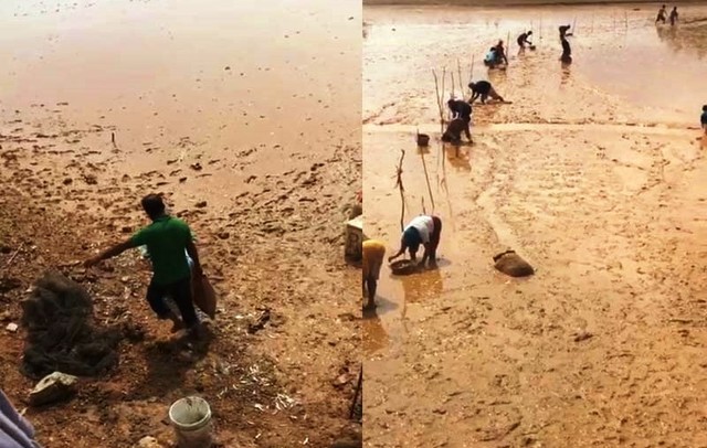 Puluhan warga nambo memungut ikan yang terdampar di laut. Foto: Istimewa.