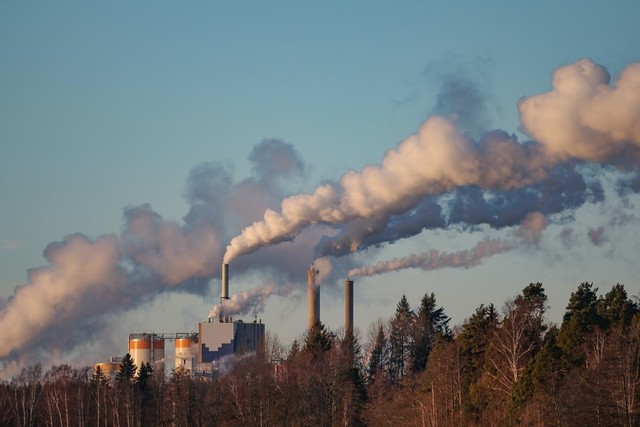 Dampak Pembakaran Bahan Bakar terhadap Lingkungan dan Cara Mengatasinya (2234)