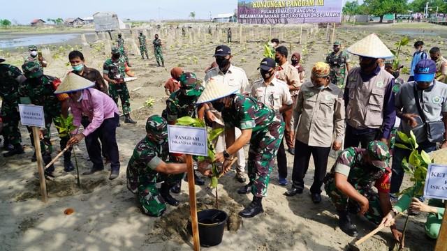 Penanaman mangrove di Pulau Seumadu, Lhokseumawe. Foto: Dok. Laung/TNI