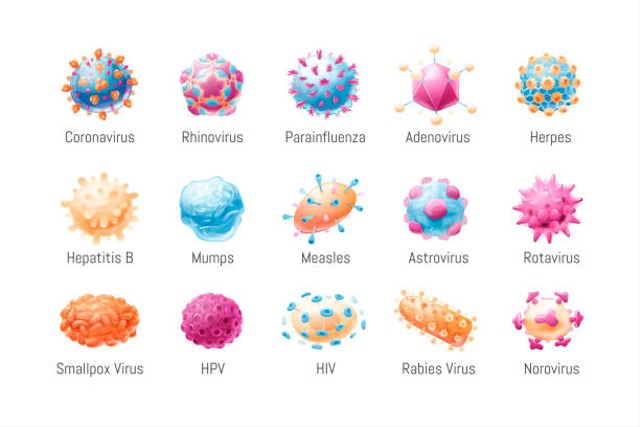 Pengertian Virus, Ciri-Ciri, dan Strukturnya | kumparan.com