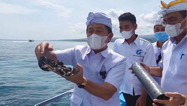 Pelepasan abalone di perairan Nusa Lembongan oleh Bupati Klungkung, Bali - IST