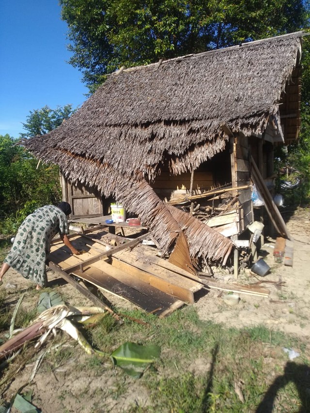 Satu unit rumah milik warga di Desa Tuwie Meuleusong, Kecamatan Seunagan Timur, Nagan Raya, Aceh, rusak setelah diubrak-abrik seekor gajah liar. Foto: Dok. warga