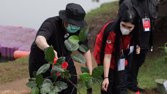 Ketum Banteng Muda Indonesia (BMI) Mochamad Herviano Widyatama bersama seluruh jajaran pengurus dan kader BMI menggelar penanaman pohon dan penyebaran benih ikan di Waduk Danau Kampung Bintaro, Pesanggrahan, Jakarta Selatan. Foto: Dok. Istimewa