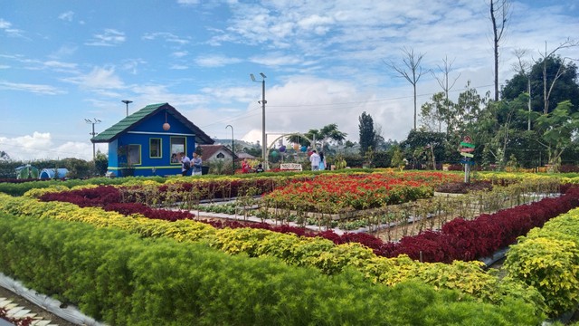 Taman bunga bee park. Foto: Erick Disy/CIREMAITODAY