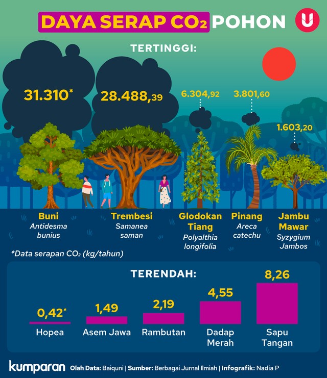 Hutan Kota, Senjata Jakarta Hadapi Efek Gas Rumah Kaca (80387)