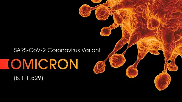 https://www.shutterstock.com/id/image-illustration/sarscov2-coronavirus-variant-omicron-3d-rendering-2081551198