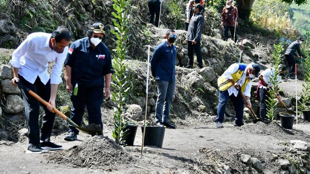 Presiden Joko Widodo kunjungan kerja dan menanam pohon di Desa Simangulampe, Kabupaten Humbang Hasundutan, Sumatera Utara, Kamis (3/2/2022).  Foto: Laily Rachev/Biro Pers Sekretariat Presiden