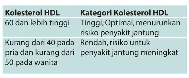 Ketahui Kadar Kolesterol Normal Ciri Ciri Dan Cara Ceknya Kumparan Com