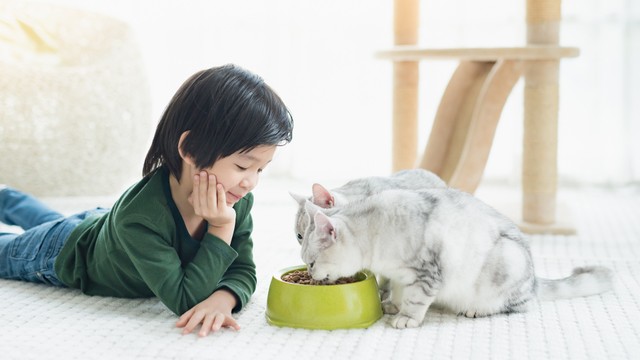 Anak memberi makan kucing. Foto: ANURAK PONGPATIMET/Shutterstock