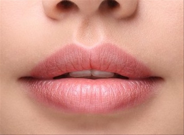 Ilustrasi bibir. https://www.shutterstock.com/search/human+lips